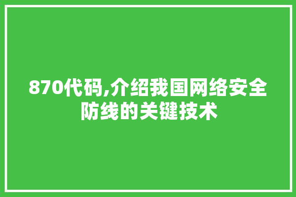870代码,介绍我国网络安全防线的关键技术