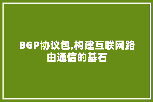 BGP协议包,构建互联网路由通信的基石