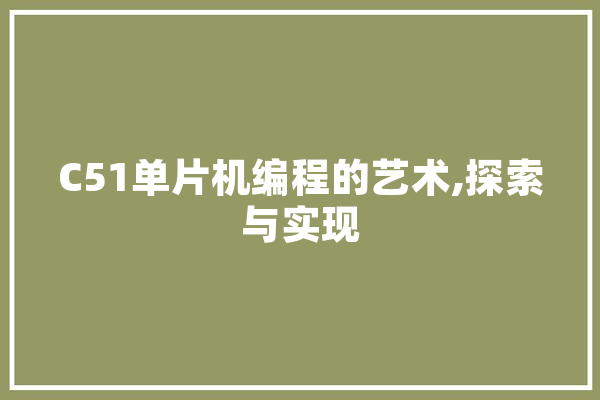 C51单片机编程的艺术,探索与实现