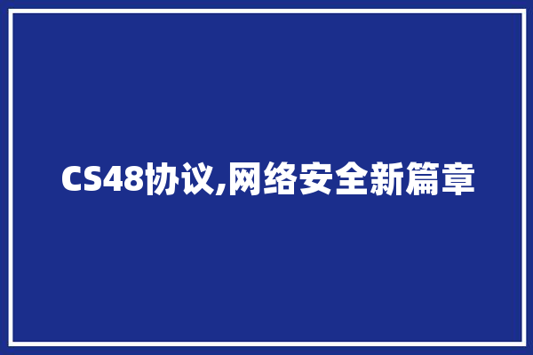 CS48协议,网络安全新篇章 文字写作