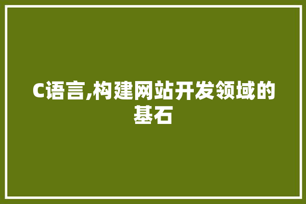 C语言,构建网站开发领域的基石