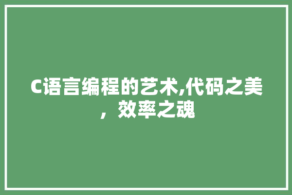 C语言编程的艺术,代码之美，效率之魂
