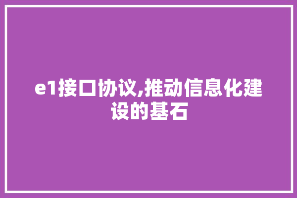 e1接口协议,推动信息化建设的基石