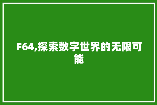 F64,探索数字世界的无限可能