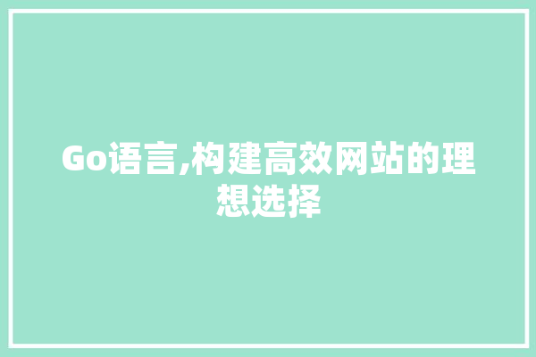 Go语言,构建高效网站的理想选择 计算机