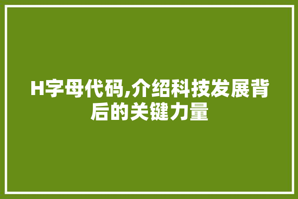 H字母代码,介绍科技发展背后的关键力量