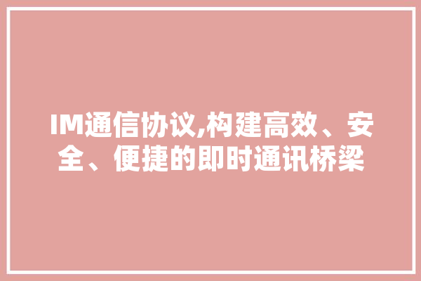 IM通信协议,构建高效、安全、便捷的即时通讯桥梁