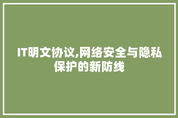 IT明文协议,网络安全与隐私保护的新防线 智能问答