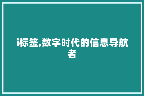 i标签,数字时代的信息导航者