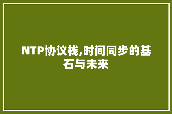 NTP协议栈,时间同步的基石与未来