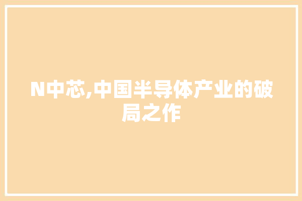 N中芯,中国半导体产业的破局之作