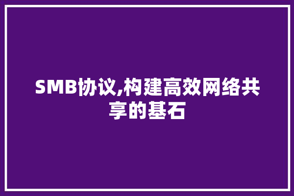 SMB协议,构建高效网络共享的基石