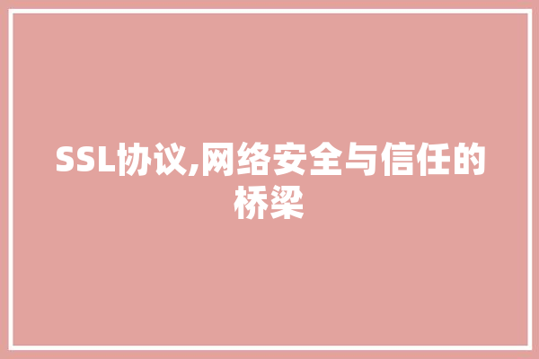SSL协议,网络安全与信任的桥梁