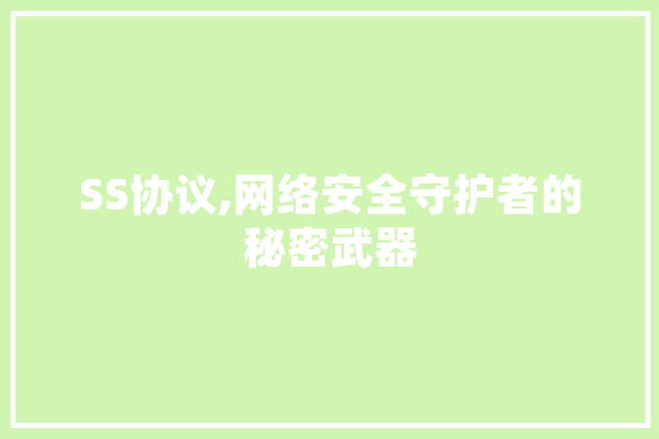 SS协议,网络安全守护者的秘密武器