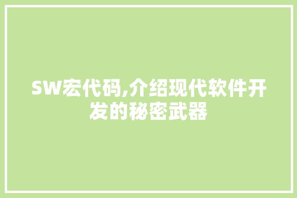 SW宏代码,介绍现代软件开发的秘密武器
