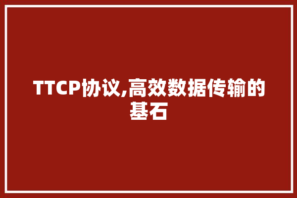 TTCP协议,高效数据传输的基石 智能问答