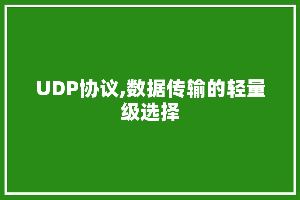 UDP协议,数据传输的轻量级选择 智能助手