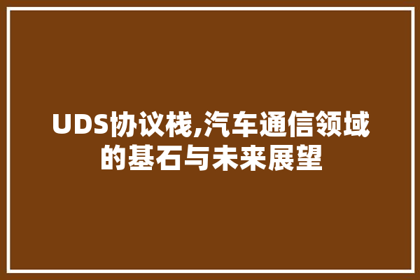 UDS协议栈,汽车通信领域的基石与未来展望