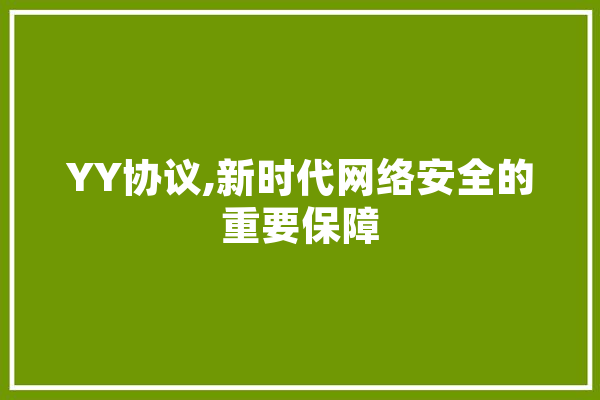 YY协议,新时代网络安全的重要保障