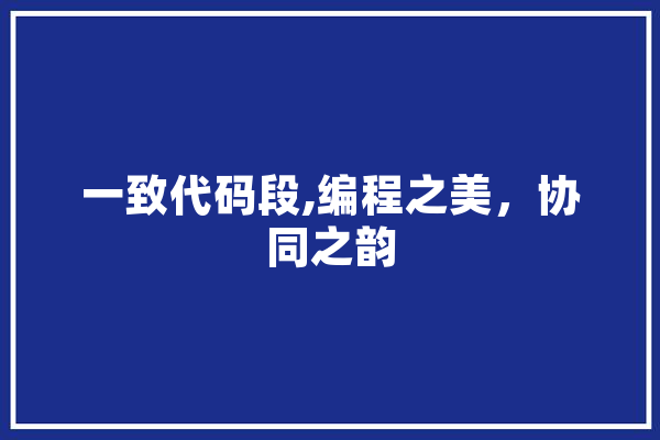 一致代码段,编程之美，协同之韵
