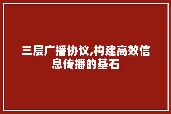 三层广播协议,构建高效信息传播的基石