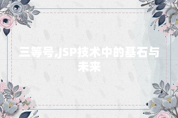 三等号,JSP技术中的基石与未来