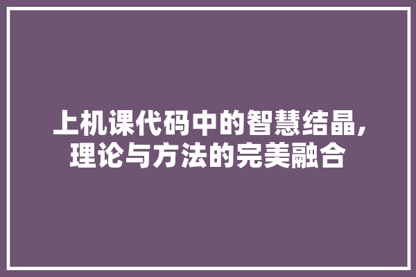 上机课代码中的智慧结晶,理论与方法的完美融合