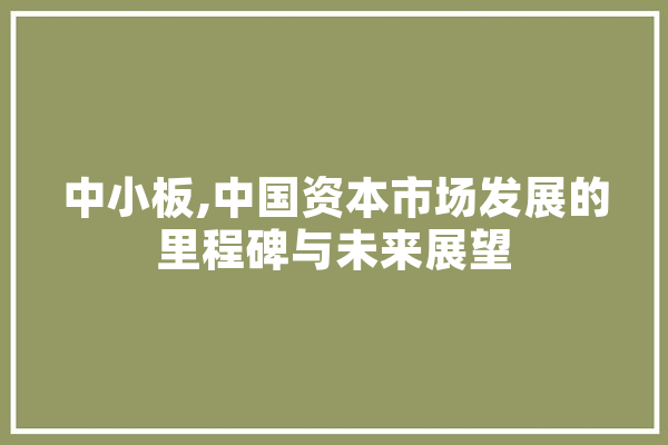 中小板,中国资本市场发展的里程碑与未来展望