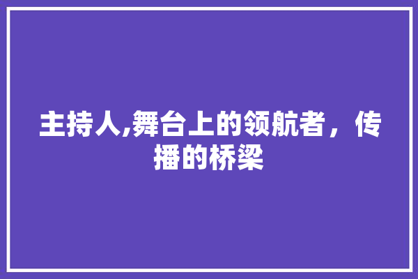 主持人,舞台上的领航者，传播的桥梁
