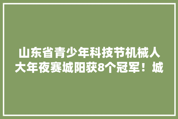 山东省青少年科技节机械人大年夜赛城阳获8个冠军！城阳区人工智能教诲务实成长_人工智能_教师