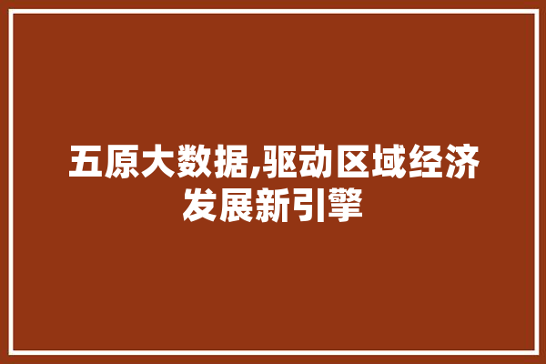 五原大数据,驱动区域经济发展新引擎