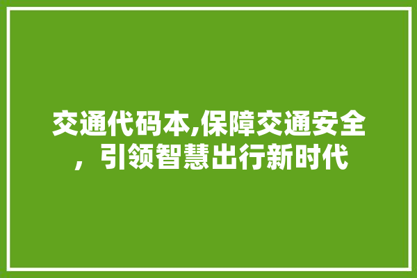 交通代码本,保障交通安全，引领智慧出行新时代