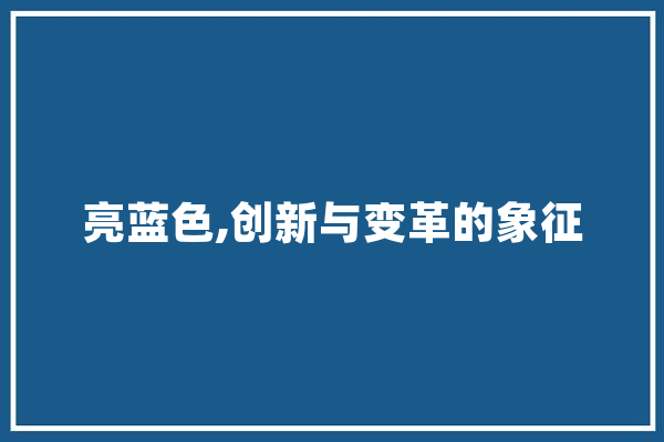 亮蓝色,创新与变革的象征