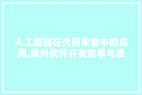 人工智能在代码审查中的应用,提升软件开发效率与质量