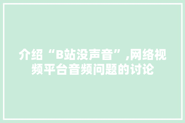 介绍“B站没声音”,网络视频平台音频问题的讨论