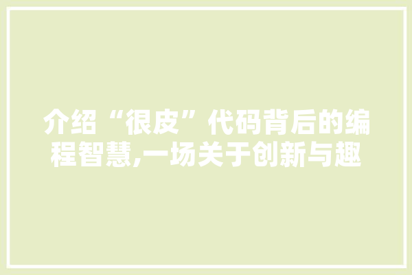 介绍“很皮”代码背后的编程智慧,一场关于创新与趣味的探索之旅