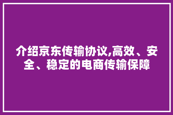 介绍京东传输协议,高效、安全、稳定的电商传输保障