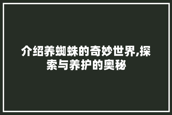 介绍养蜘蛛的奇妙世界,探索与养护的奥秘