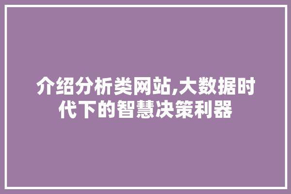 介绍分析类网站,大数据时代下的智慧决策利器 文字写作