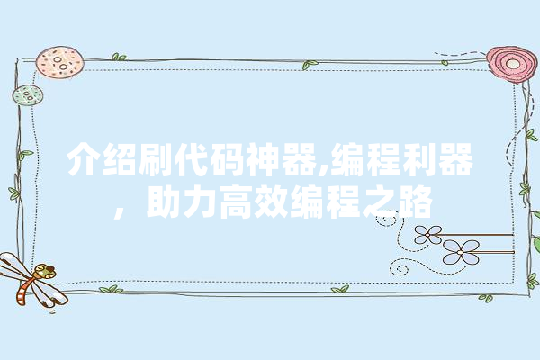 介绍刷代码神器,编程利器，助力高效编程之路