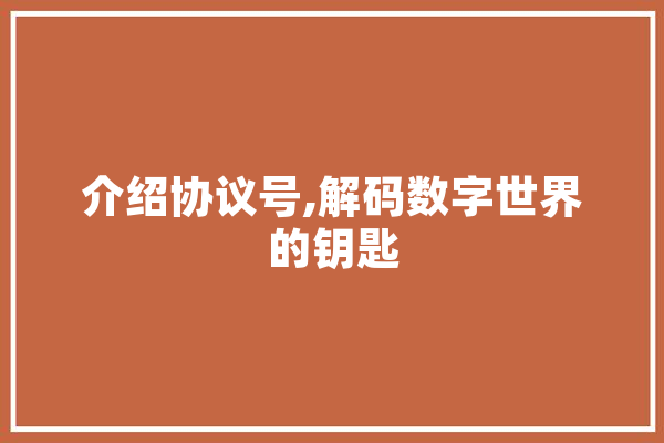 介绍协议号,解码数字世界的钥匙