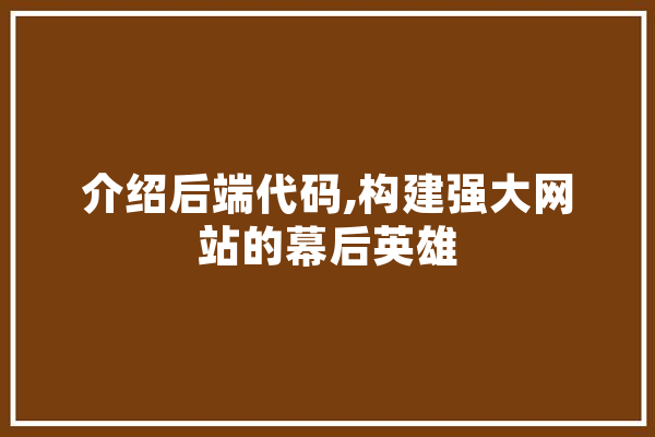 介绍后端代码,构建强大网站的幕后英雄