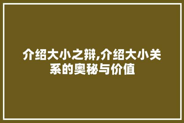 介绍大小之辩,介绍大小关系的奥秘与价值