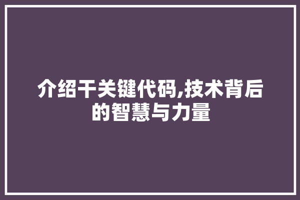 介绍干关键代码,技术背后的智慧与力量 智能助手