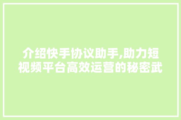 介绍快手协议助手,助力短视频平台高效运营的秘密武器