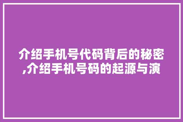 介绍手机号代码背后的秘密,介绍手机号码的起源与演变