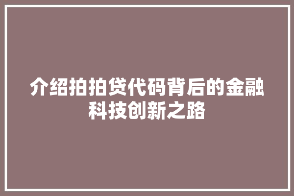 介绍拍拍贷代码背后的金融科技创新之路