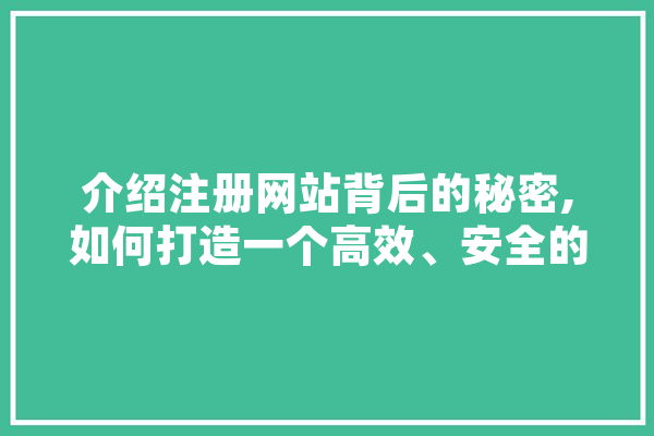 介绍注册网站背后的秘密,如何打造一个高效、安全的在线平台