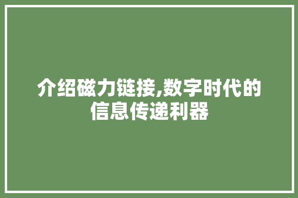 介绍磁力链接,数字时代的信息传递利器