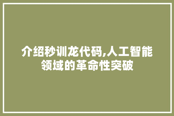 介绍秒训龙代码,人工智能领域的革命性突破